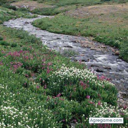 turolense1 chico soltero en Cella