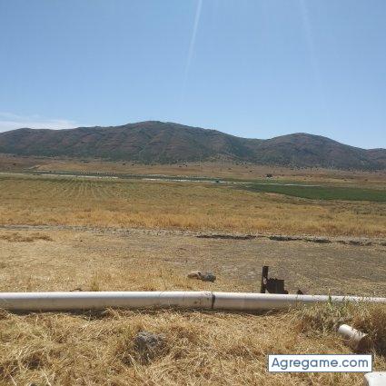 Betfors chico soltero en Ajacuba