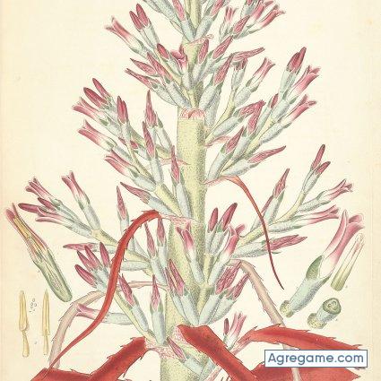 JIORNE chico soltero en Cartagena