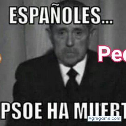 camberet chico soltero en Denia