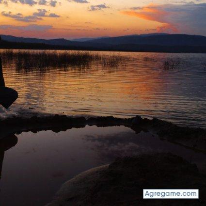 Become chico soltero en Viña Del Mar