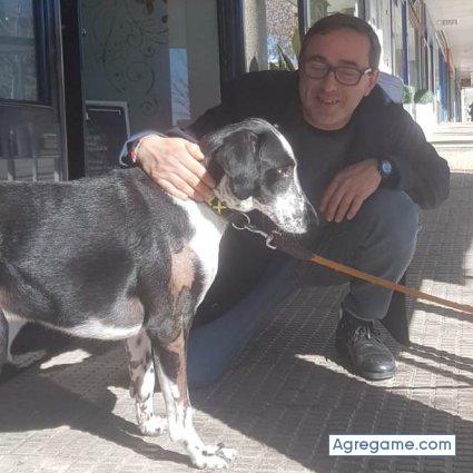 piltart chico soltero en A Coruña