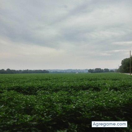 Joselove25 chico soltero en Shelbyville