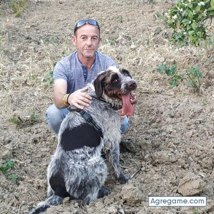 Ferfti chico soltero en Brenes