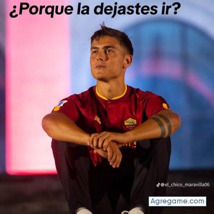 Maribondo chico soltero en Ciudad Guayana