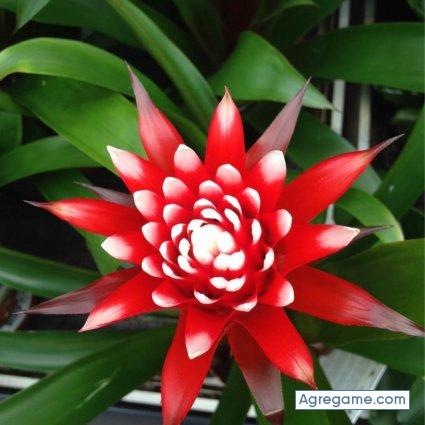 326699 chica soltera en San José De La Dormida