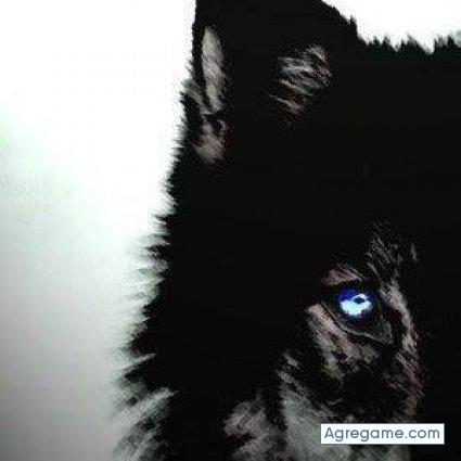 arcre chico soltero en Ambato