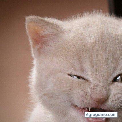 john117 chico soltero en Sangonera La Seca