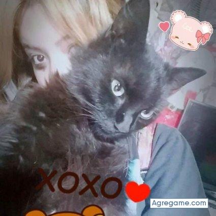 hotarutomoe chica soltera en Canals