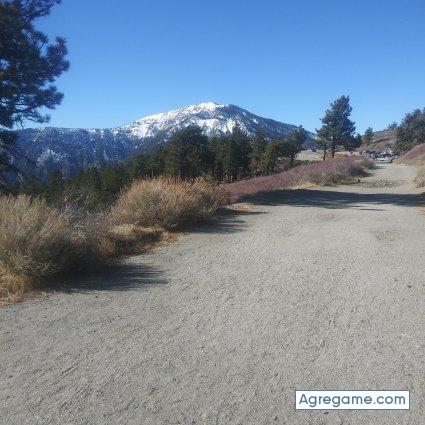 Elfantasma2020101055 chico soltero en Santa Rosa De Lima