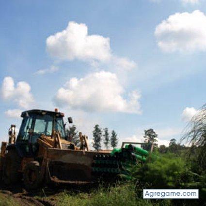 manuel13 chico soltero en Panindícuaro