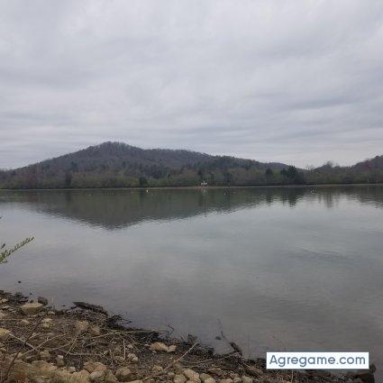 Elbelin chico soltero en Marshall