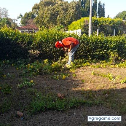 alejotoro9519 chico divorciado en Phoenix