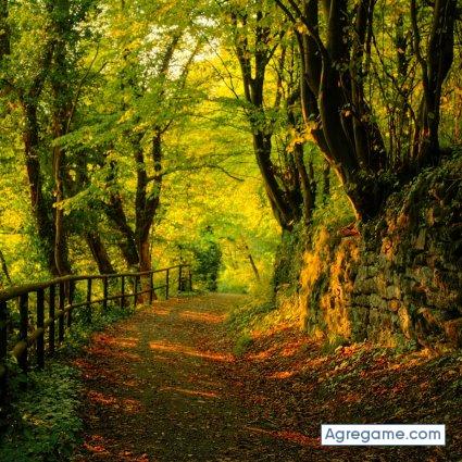 chaser12 chico soltero en Orizaba