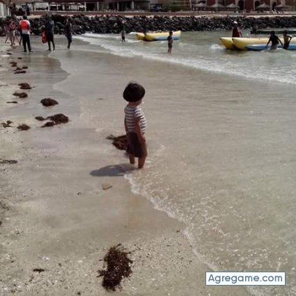 felisnabarro chico soltero en Saucillo