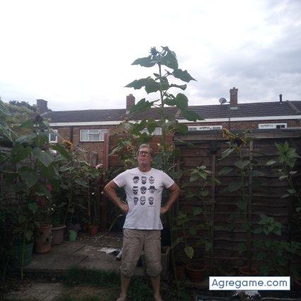 ambulancedriver chico divorciado en 