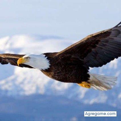 ale0007 chico soltero en Santa Fe