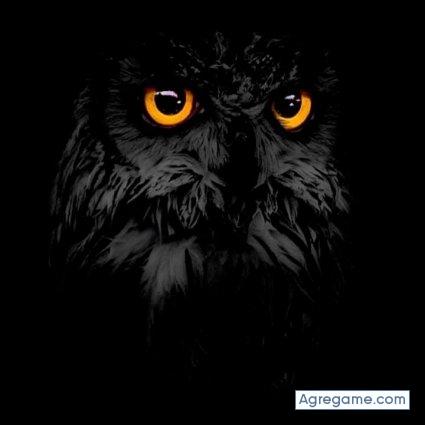 Dukez chico soltero en Estancia Nueva Esperanza