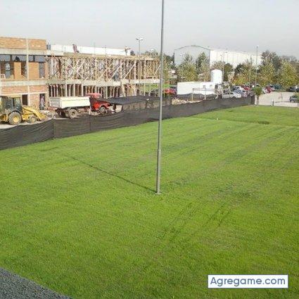 maurofanta chico soltero en Melón