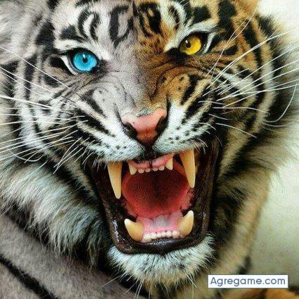 joselgds chico soltero en Oleiros