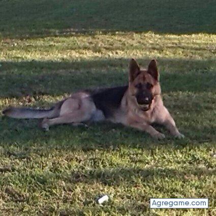 cany79 chico soltero en Sevilla