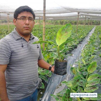 aldosan chico soltero en Chiclayo