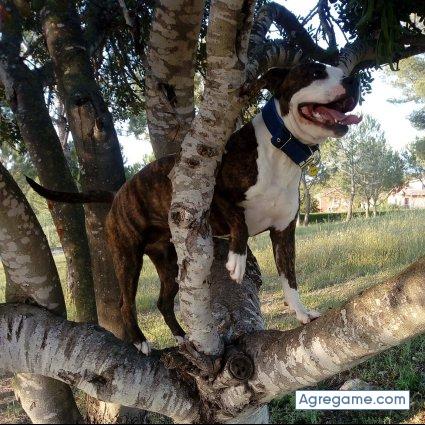 daniasuncion chico soltero en Rubias