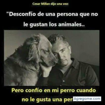 walterromano chico soltero en Salta