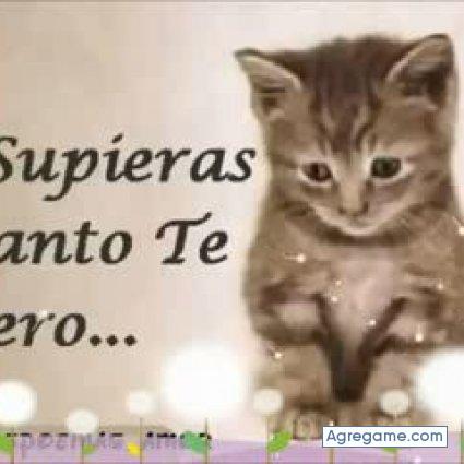 Fernansogonsalws chico soltero en Marcala