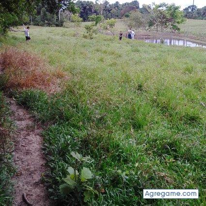 jhonrodriguezospuna chico soltero en Ayapel