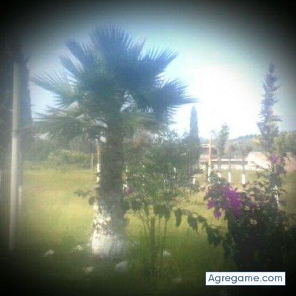 davidblancas chico viudo en Emiliano Zapata