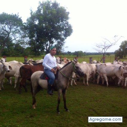 maritocasas chico soltero en Pereira
