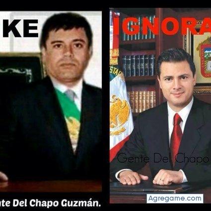 Chapuli chico soltero en Saint Petersburg