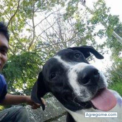 johngalindo chico soltero en La Mesa