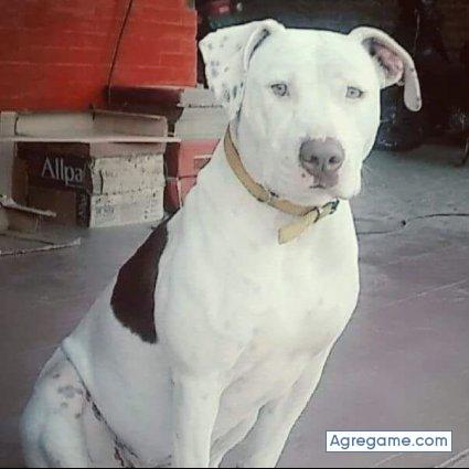 jorgmendoza chico soltero en Progreso