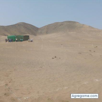 Aronatr chico soltero en Lima