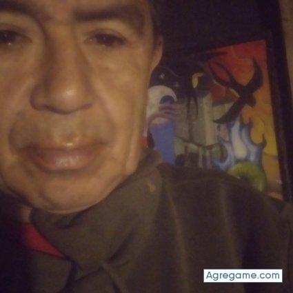 Toqui19 chico separado en Morelia