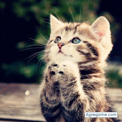 Luneador chico soltero en Santa Elena Barillas Villa Canales