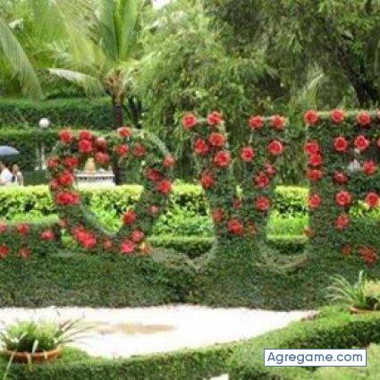 zainoun chico soltero en Almería