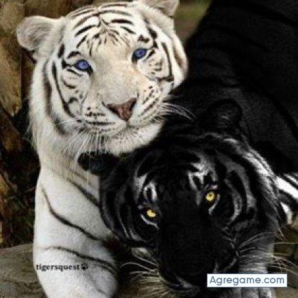 AMADOR15 chico soltero en Chalco