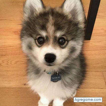 eliazar281 chico soltero en Maturín