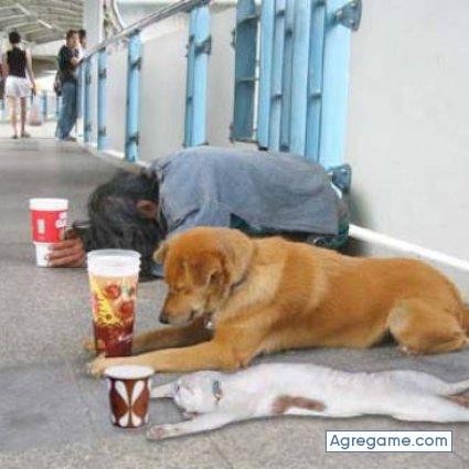 GBRUJO chico divorciado en Murcia