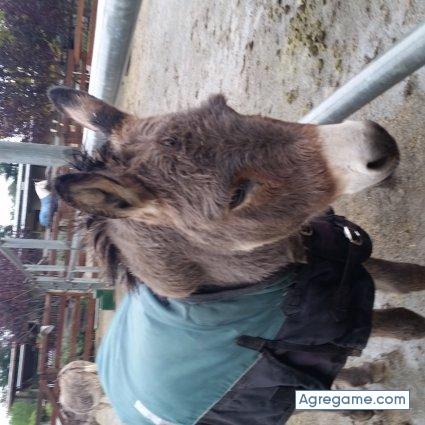 Abeldd chico soltero en Carteret