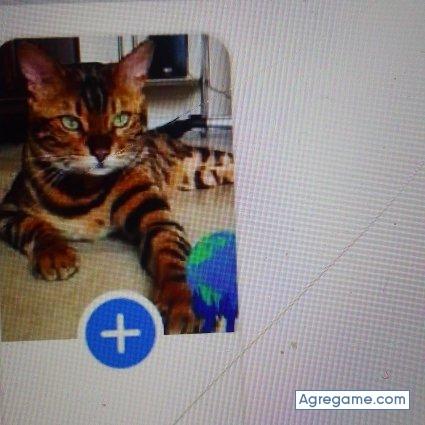 Dolfe chico soltero en Barakaldo