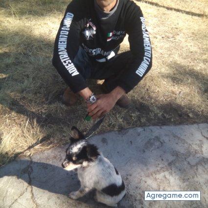 dutchyvallarta chico soltero en Huasca De Ocampo
