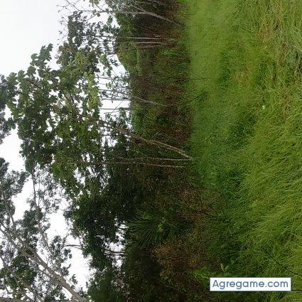 Elco12 chico soltero en Yacuiba