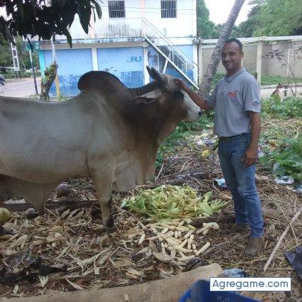 Reluis666 chico soltero en Achaguas