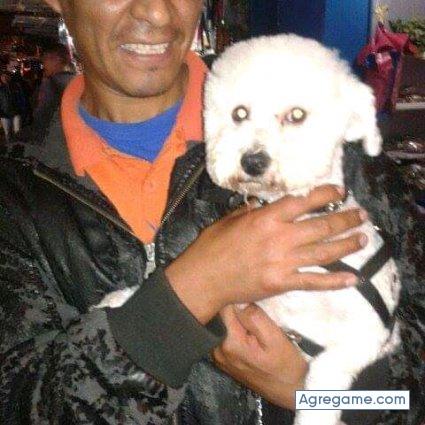 rodolforivero chico soltero en Rosario De Lerma