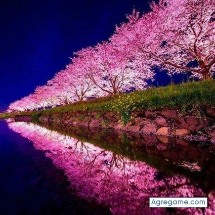 marianomoreno chico soltero en Portland