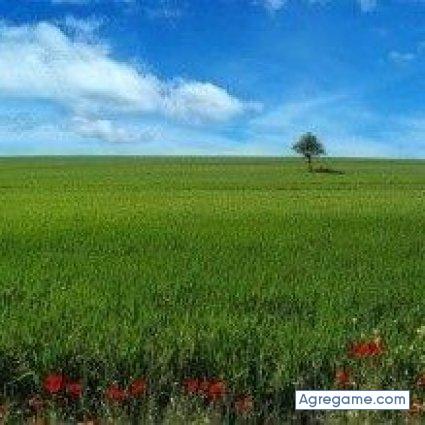 alonsodiaz6390 chico soltero en Villa Duarte